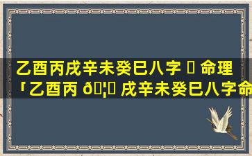 乙酉丙戌辛未癸巳八字 ☘ 命理「乙酉丙 🦊 戌辛未癸巳八字命理解析」